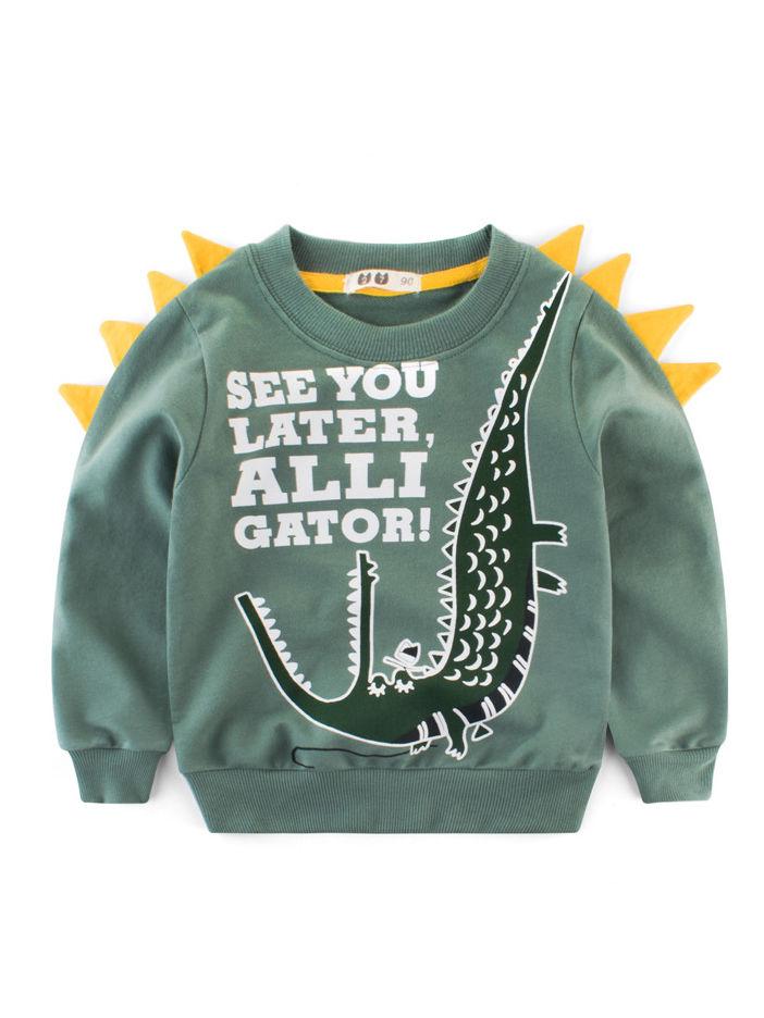 Little Dinosaur Design Jumper Pullover Long Sleeve Crew Neck Top Kids Unisex Casual Indoor Clothes - dianjiang-