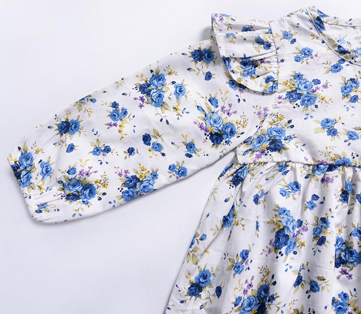 Baby Little Girl Floral Long Sleeve One-Piece Dress - dianjiang-