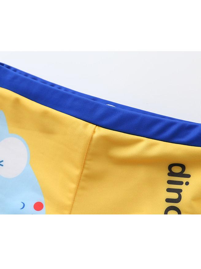 Toddler Big Kids 2-Piece Dinosaur Swimming Trunks with Swim Hat - dianjiang-