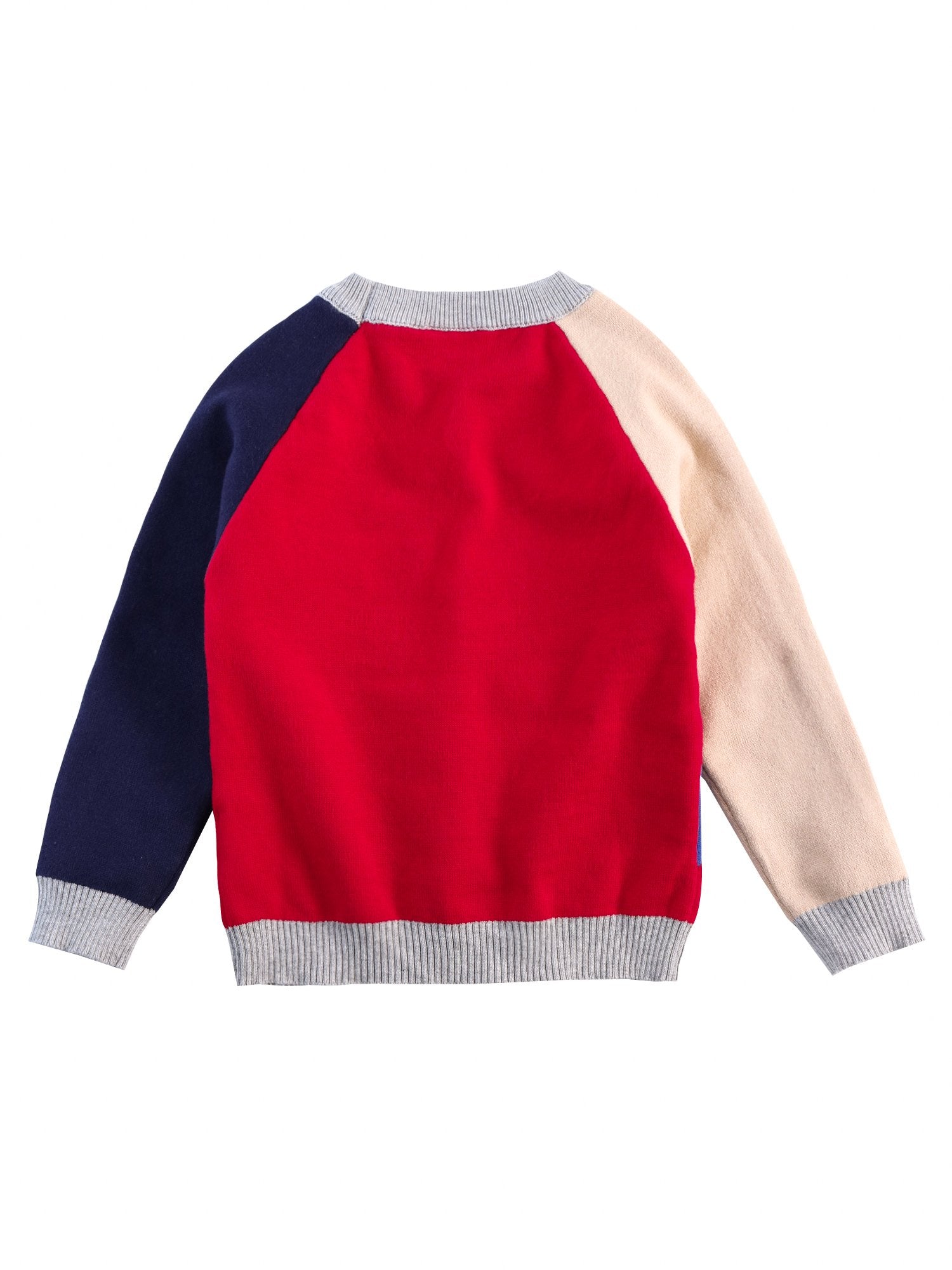 Cute Dog Pattern Color Block Little Boys Knitted Sweater - dianjiang-