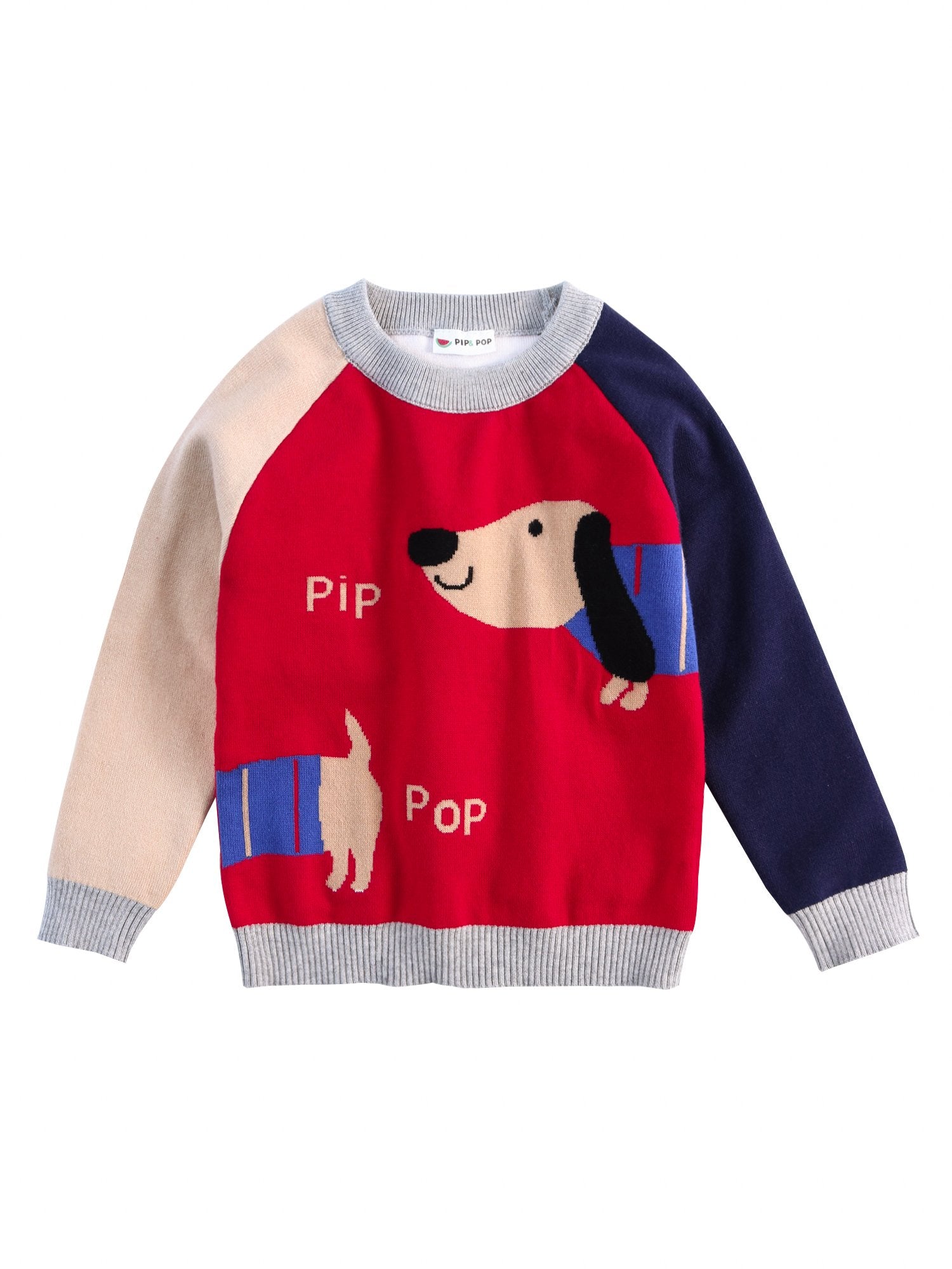 Cute Dog Pattern Color Block Little Boys Knitted Sweater - dianjiang-