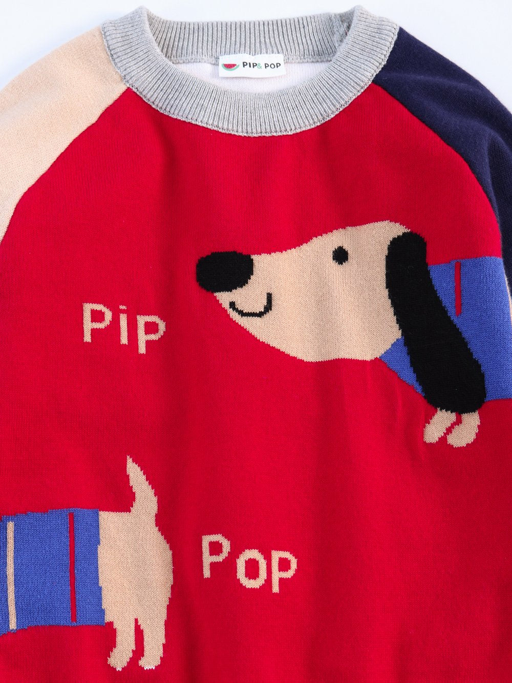 Cute Dog Pattern Color Block Little Boys Knitted Sweater - dianjiang-