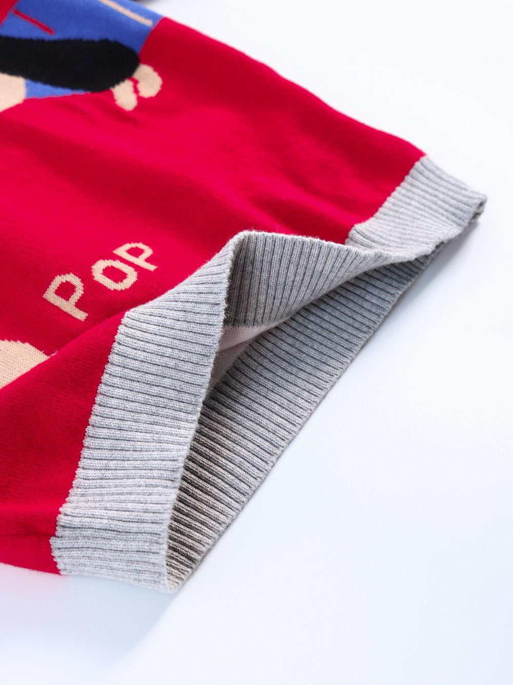 Cute Dog Pattern Color Block Little Boys Knitted Sweater - dianjiang-