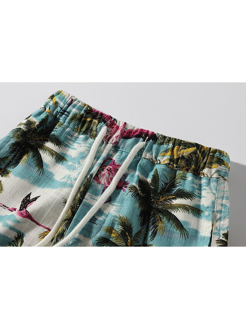 Hawaii Style Coconut Tree Flamingo Beach Toddler Little Boy Pull-on Shorts - dianjiang-