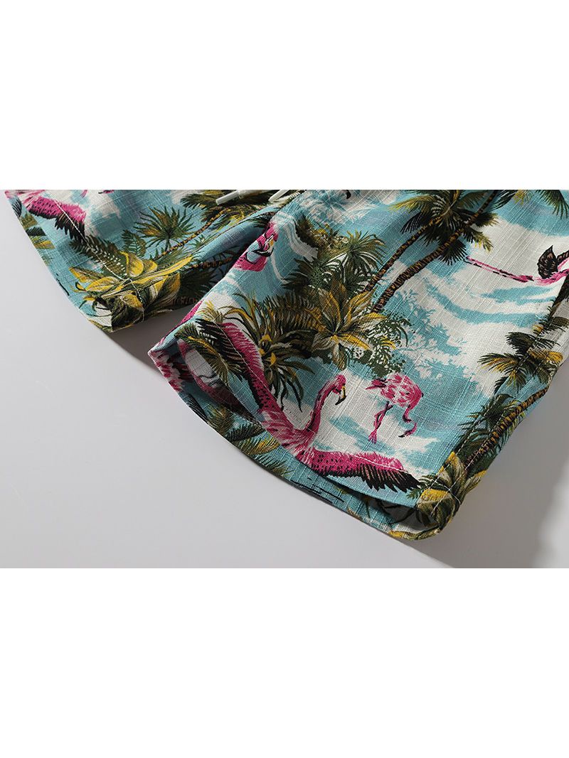 Hawaii Style Coconut Tree Flamingo Beach Toddler Little Boy Pull-on Shorts - dianjiang-
