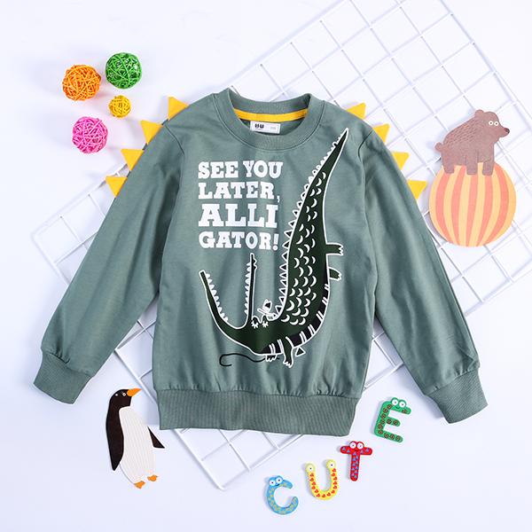 Little Dinosaur Design Jumper Pullover Long Sleeve Crew Neck Top Kids Unisex Casual Indoor Clothes - dianjiang-