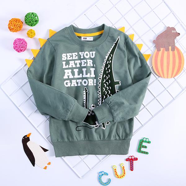 Little Dinosaur Design Jumper Pullover Long Sleeve Crew Neck Top Kids Unisex Casual Indoor Clothes - dianjiang-