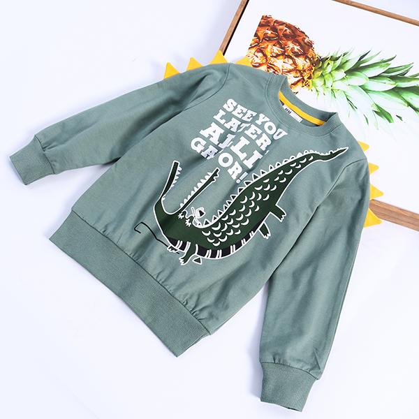 Little Dinosaur Design Jumper Pullover Long Sleeve Crew Neck Top Kids Unisex Casual Indoor Clothes - dianjiang-