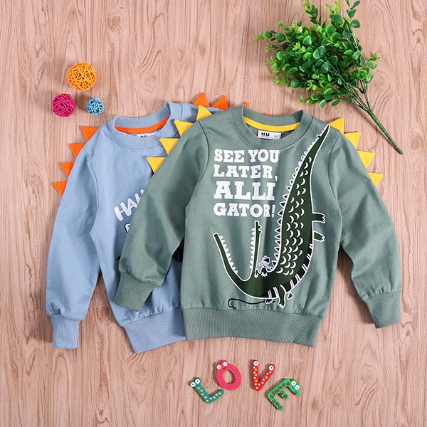 Little Dinosaur Design Jumper Pullover Long Sleeve Crew Neck Top Kids Unisex Casual Indoor Clothes - dianjiang-