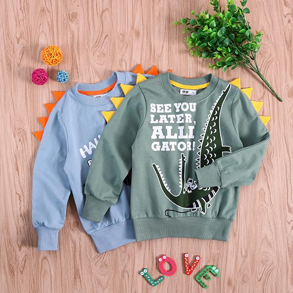 Little Dinosaur Design Jumper Pullover Long Sleeve Crew Neck Top Kids Unisex Casual Indoor Clothes - dianjiang-