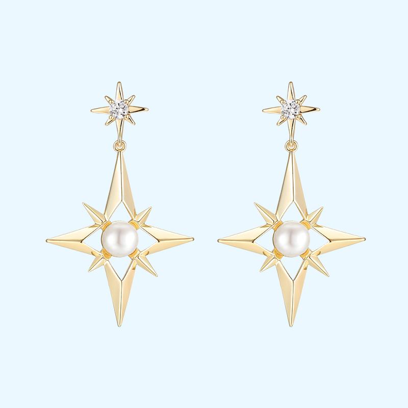 Eight bright stars earrings for women in Europe and America - dianjiang-