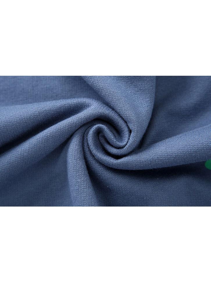 4 Colors Fashion Indoor Toddler Baby Cartoon Dinosaur Jumper - dianjiang-